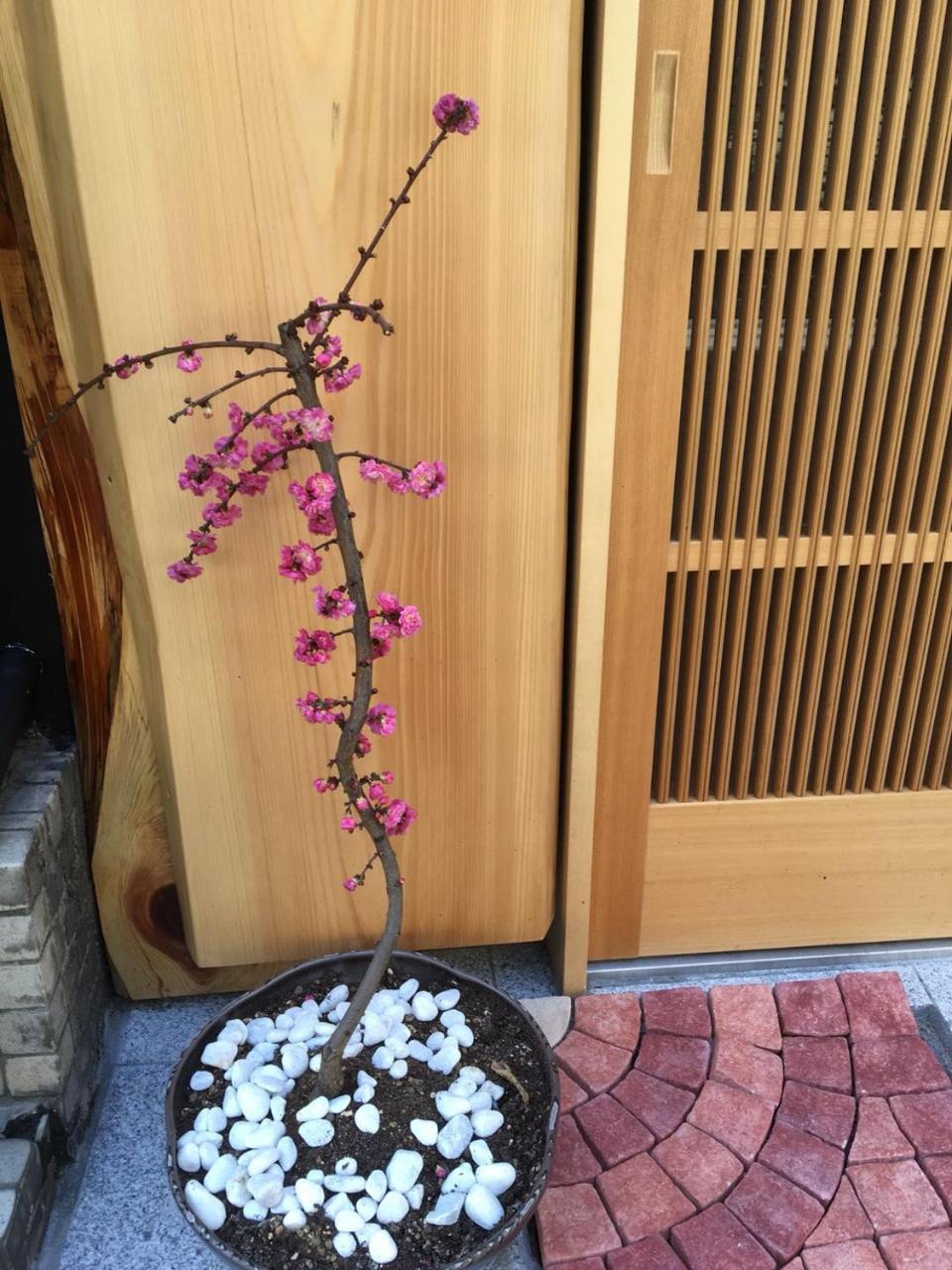 美築八坂 Appartement Kyoto Buitenkant foto